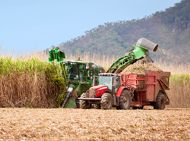 Sugar & Salt Processing